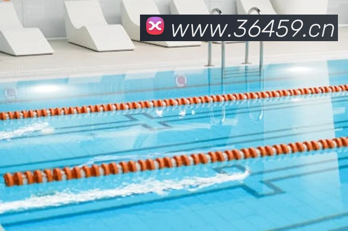 星空电竞app下载入口平台生态图